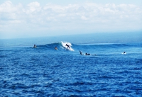 lembongan surf1.jpg
